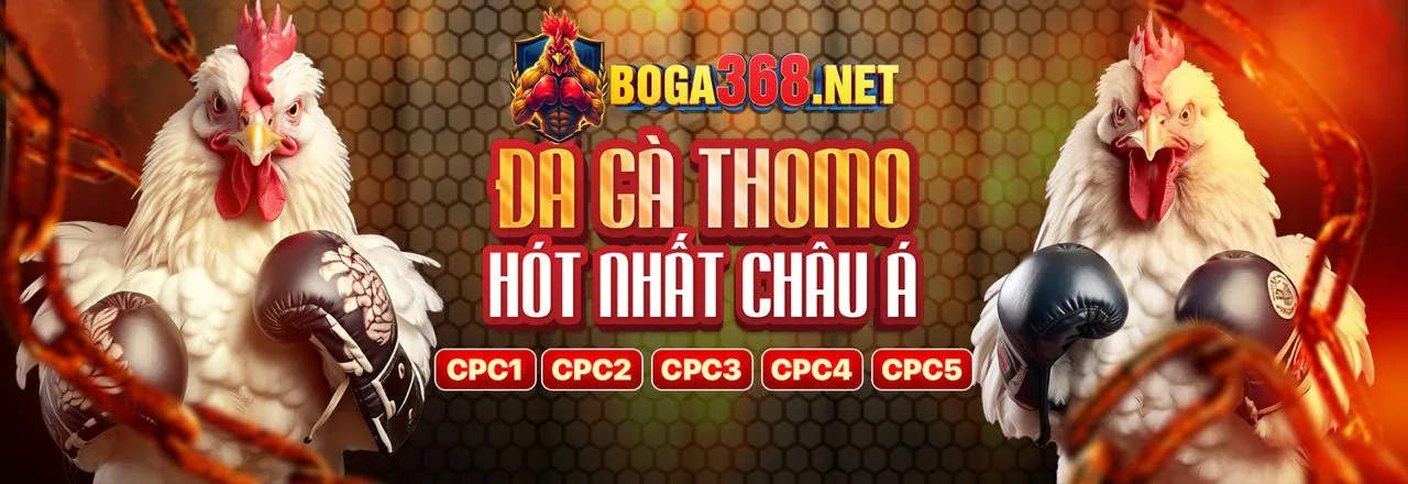 Đá Gà Trực Tuyến 789bets Khuyến Mãi