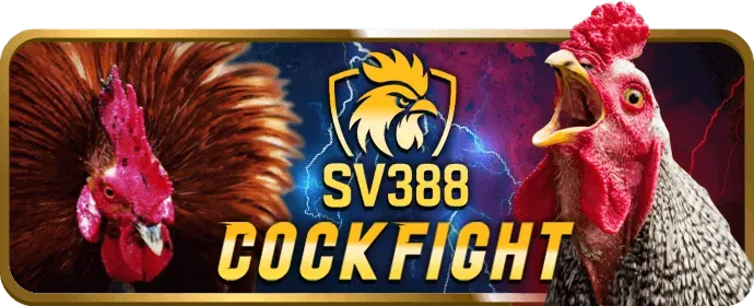 Chương trình hoàn trả 789bets